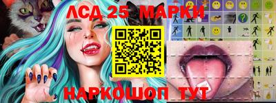 индика Малгобек