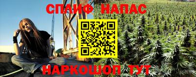 индика Малгобек